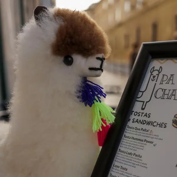 Delicious brunch item